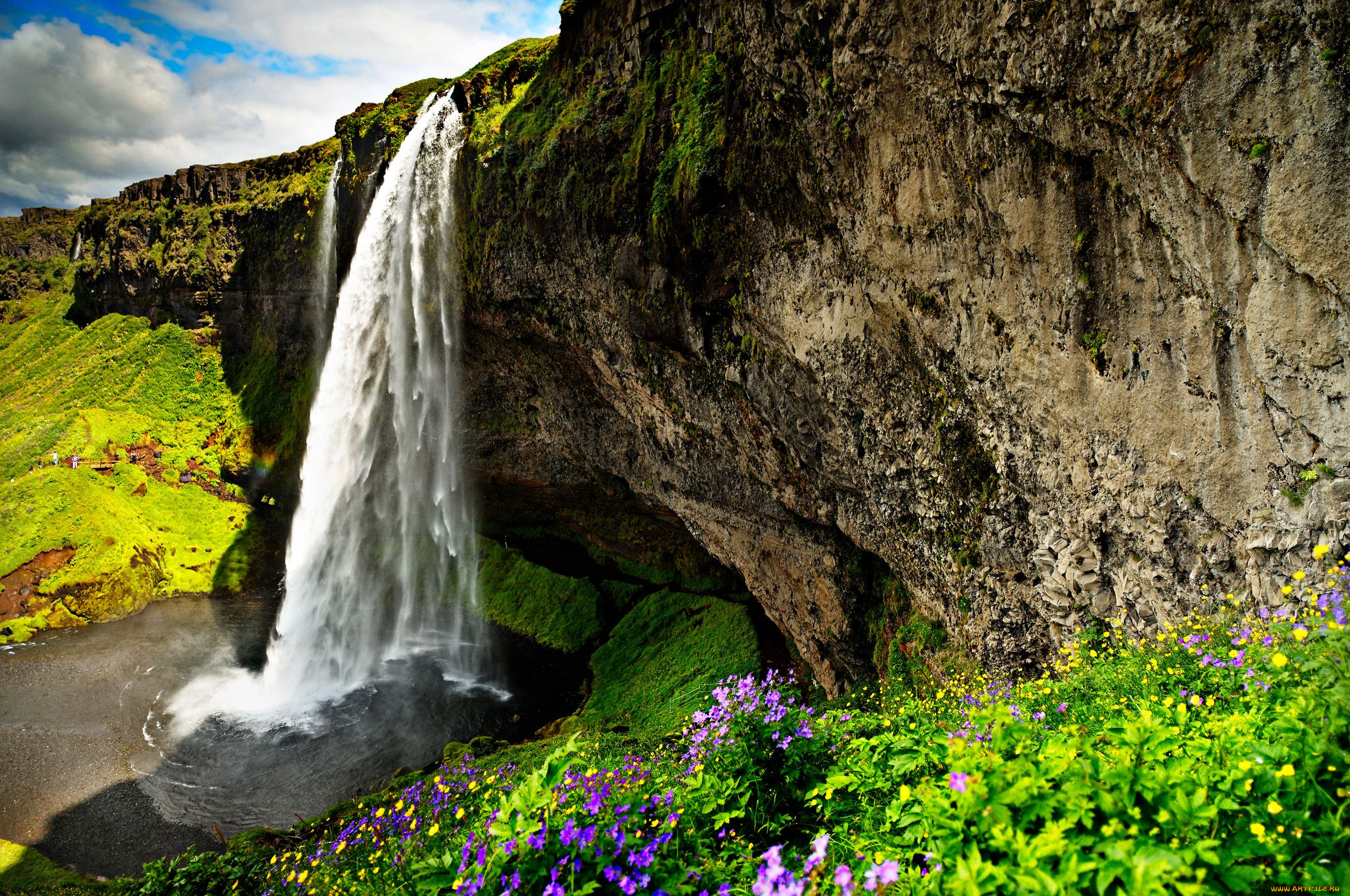 Действующий водопад. Водопад Ширлак. Водопад Валасте. Вилючинский водопад. Национальный заповедник Гиффорд Пинчот, Вашингтон, США.